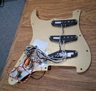 Picture 6 of 11