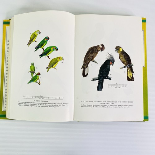 Australian Parrots In Field And Aviary Alan Lendon Birds Ornithology Vintage - Picture 10 of 19