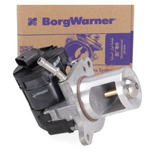BORGWARNER AGR Ventil für MERCEDES W166 W221 X166 OM642 6421402160