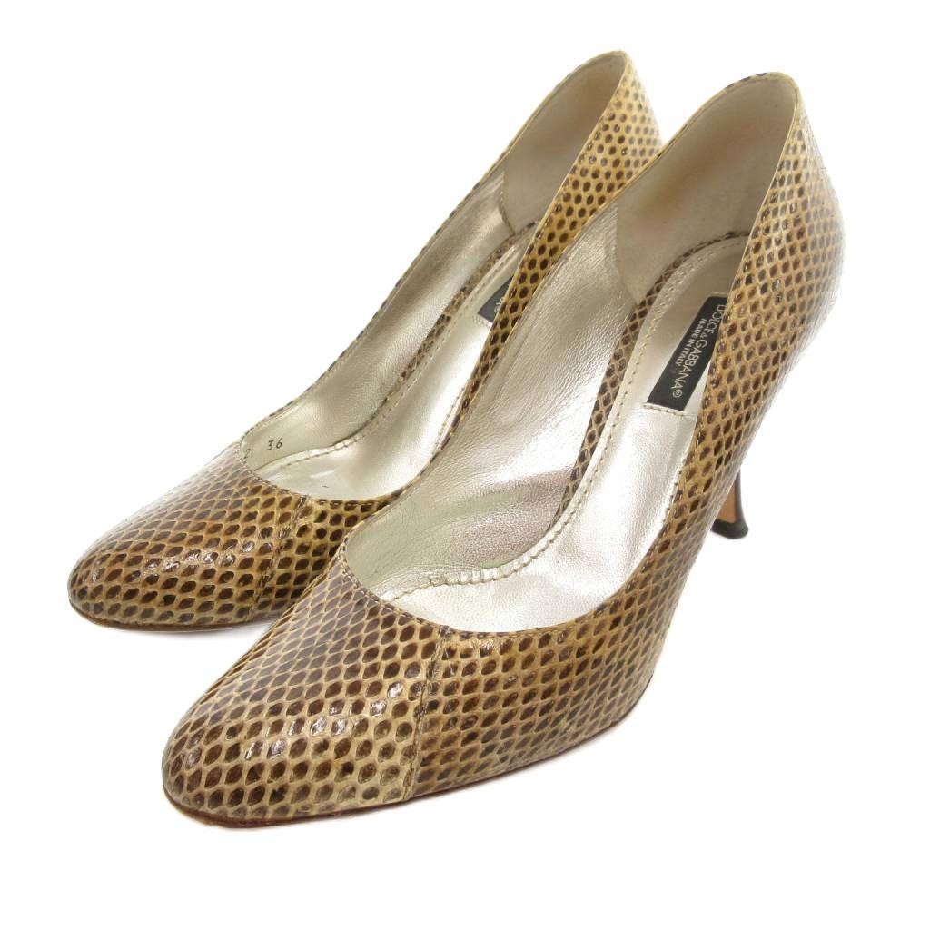 Dolce Gabbana Python Pattern Pumps Stiletto Heel … - image 1