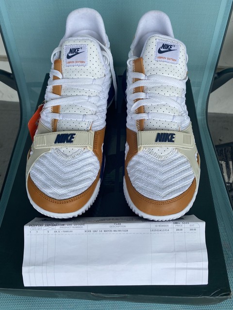 lebron james 16 medicine ball