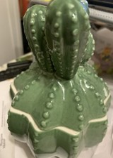 Catus Plant Container