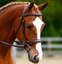 KL Select Black Oak Tupelo Hunter Bridle