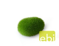 Aquarium Dekoration Aqua Della Moos Ball Medium Ebi SüßWasser Nano Cube