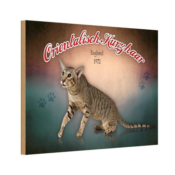 Holzschild 12X18 Cm Katze Orientalisch Kurzhaar England Tier Haustier Deko Gesch-image