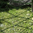 Bild 4 von 12