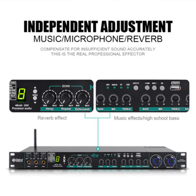 DSP Professional Audio Digital Processor KTV Karaoke Reverberation Effect System