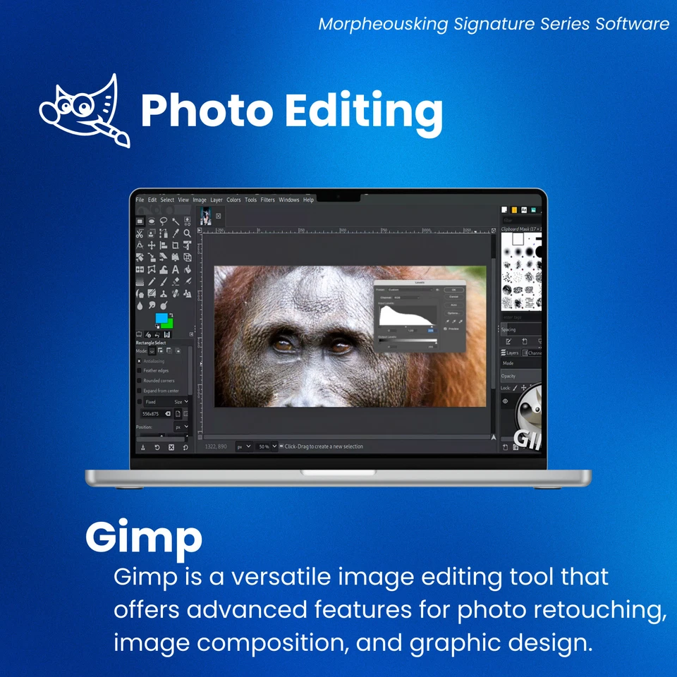 Ultimate Photo Editing Suite for Windows on DVD | Digital Image Editor Software - Image 3 of 4