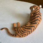 Foto 4 di 4