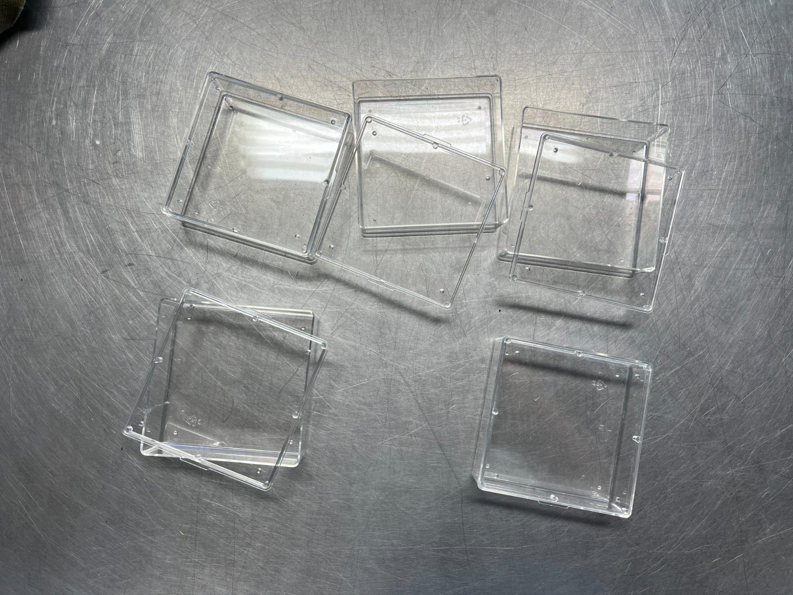 Pioneer Plastics Square Plastic Container 4.3125"W x 4.3125"D x 1.375" Pack of 5