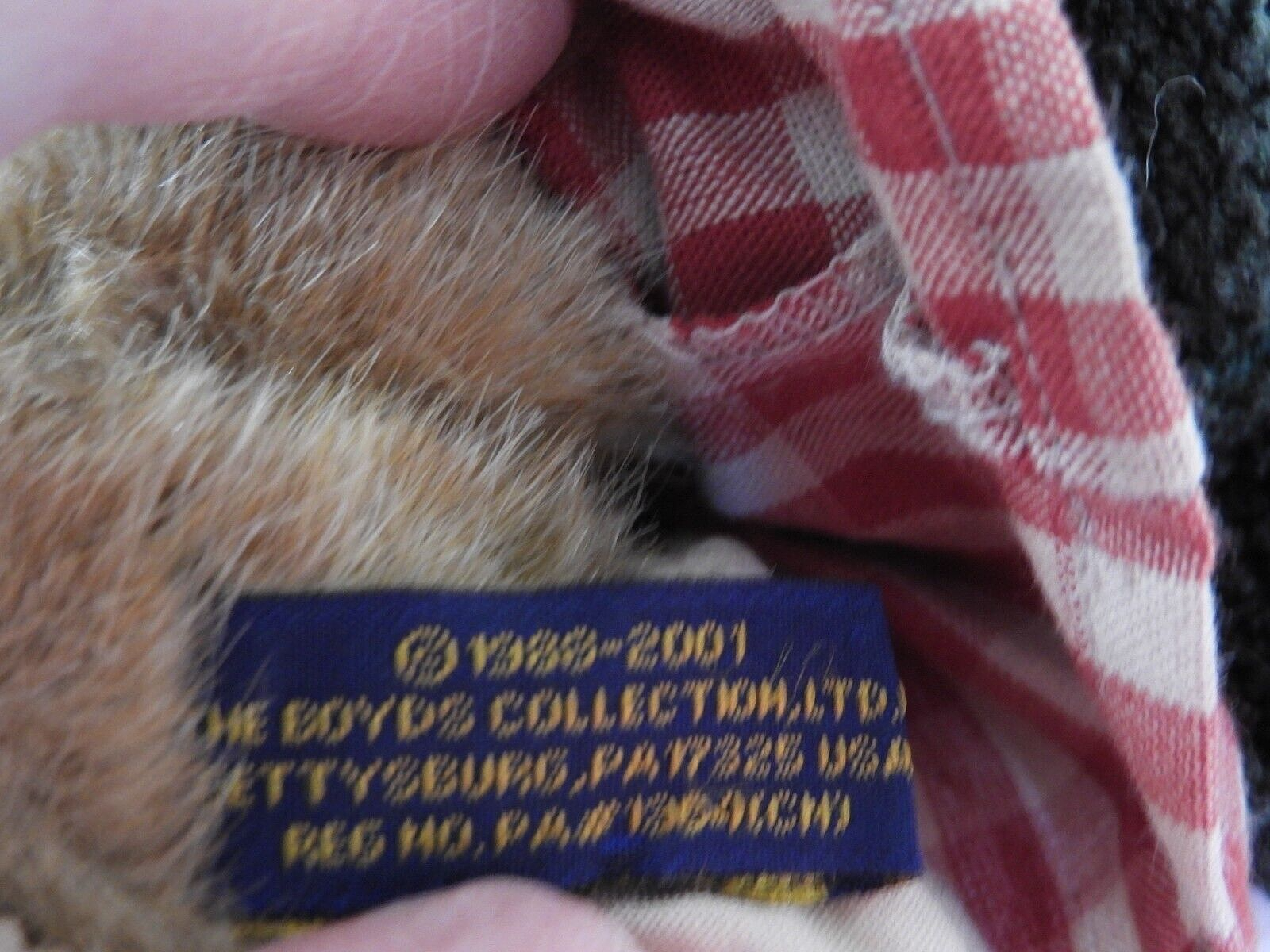 Picture 13 of 15