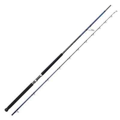 Savage Gear SGS6 Shore Jigging Meeresrute Salzwasser Spinnrute Küste