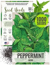 Peppermint Seeds for Planting - Non-GMO, Heirloom & Untreated - Medicinal/Cul...