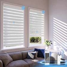 Motorized Zebra Blinds with Remote,Rechargeable Smart Electric Cordless Shade...