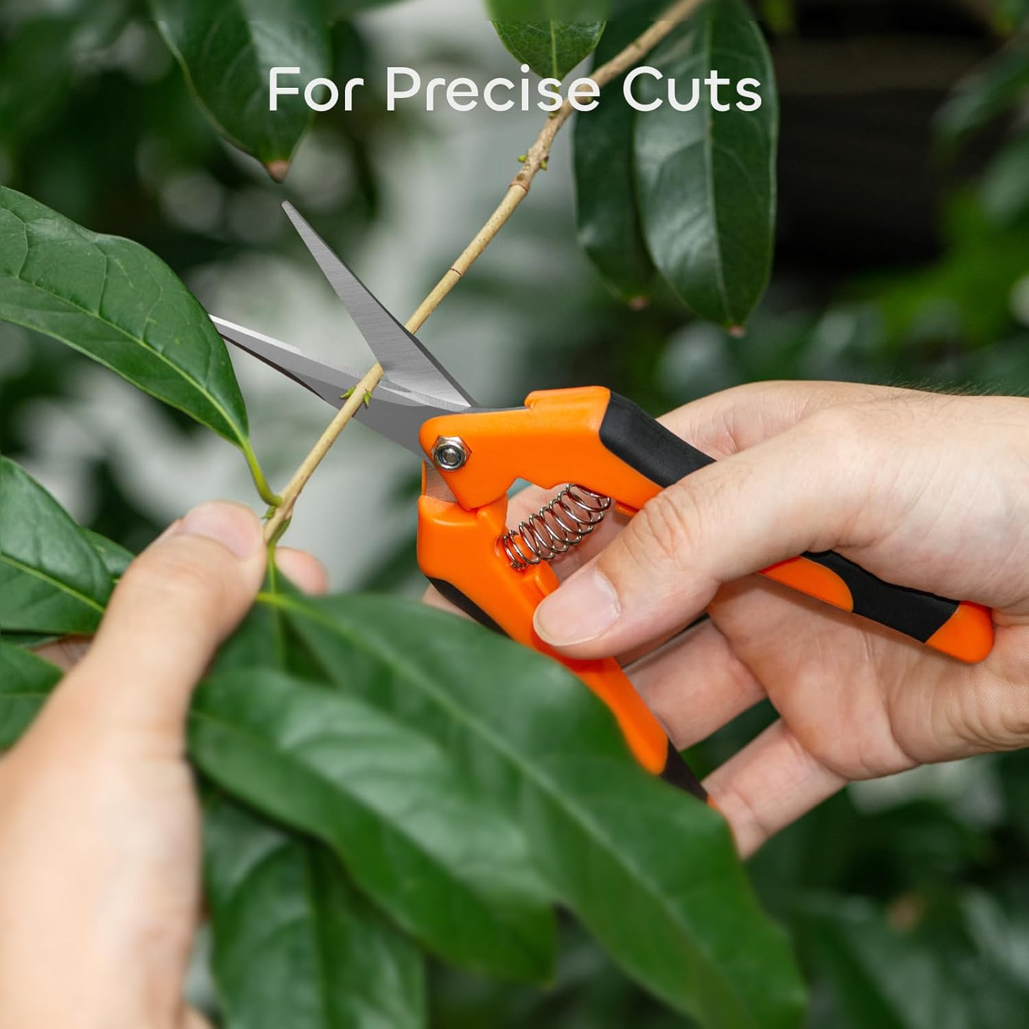 GROWNEER 3 Packs 6.5 Inch Pruning Shears Gardening Hand Snips Orange 