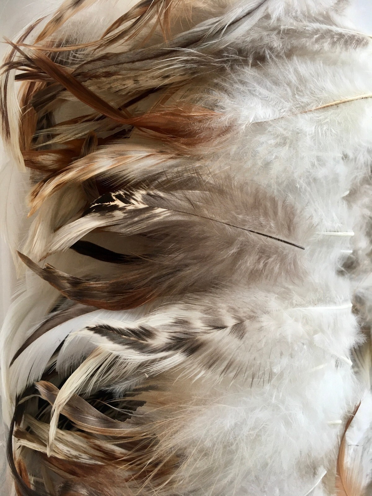 Small Feathers Soft CLEAN Fluffy Toped Neutral Tone Natural Colors DIY ...