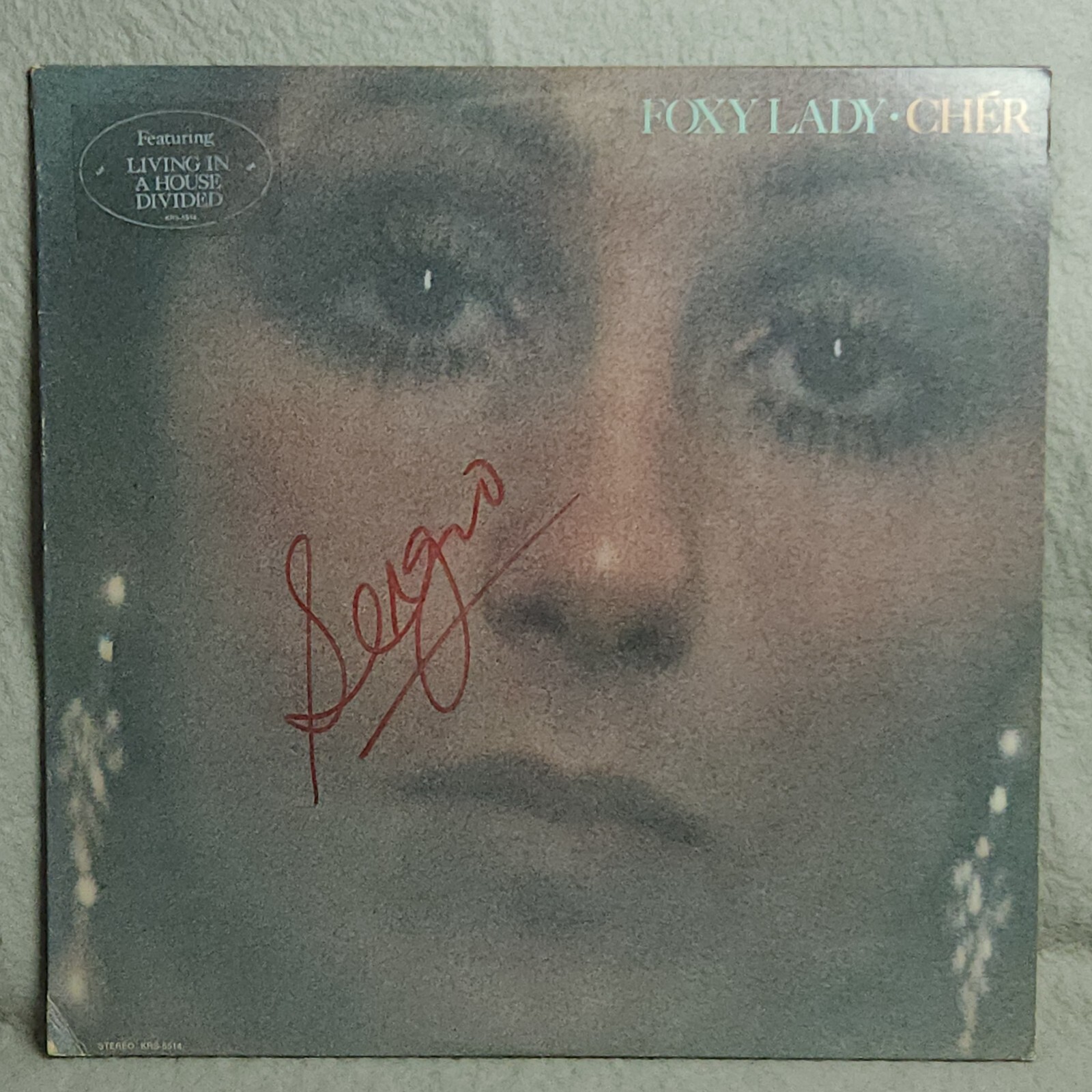 Cher Foxy Lady LP Vinyl 1972