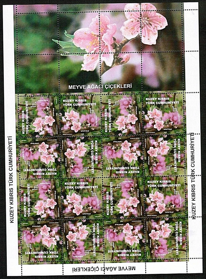 SIN MONTAR COMO NUEVO 2014 ÁRBOL FRUTAL FLORES CONJUNTO HOJAS TURCO CHIPRIOTA Foto 4 de 4