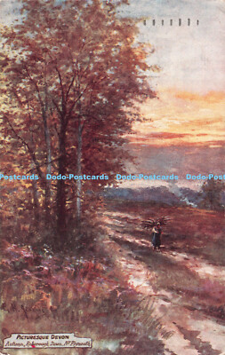 R546504 Malerisches Devon Autumn Roborough Down Nr Plymouth malerische Grafschaften