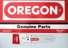 Oregon 100SDAA041 Single Rivet 10" Guide Bar, 1/4" Pitch, .050" Gauge