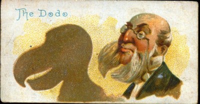 1889 W Duke Sons The Dodo Cigarette Card Extinct Bird Tobacco Card