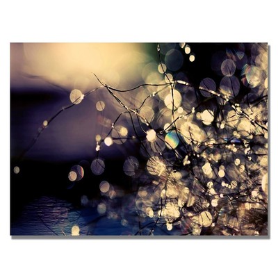 Trademark Art Fairies in My Garden Canvas Art by Beata Czyzowska, 22 by 32-Inch