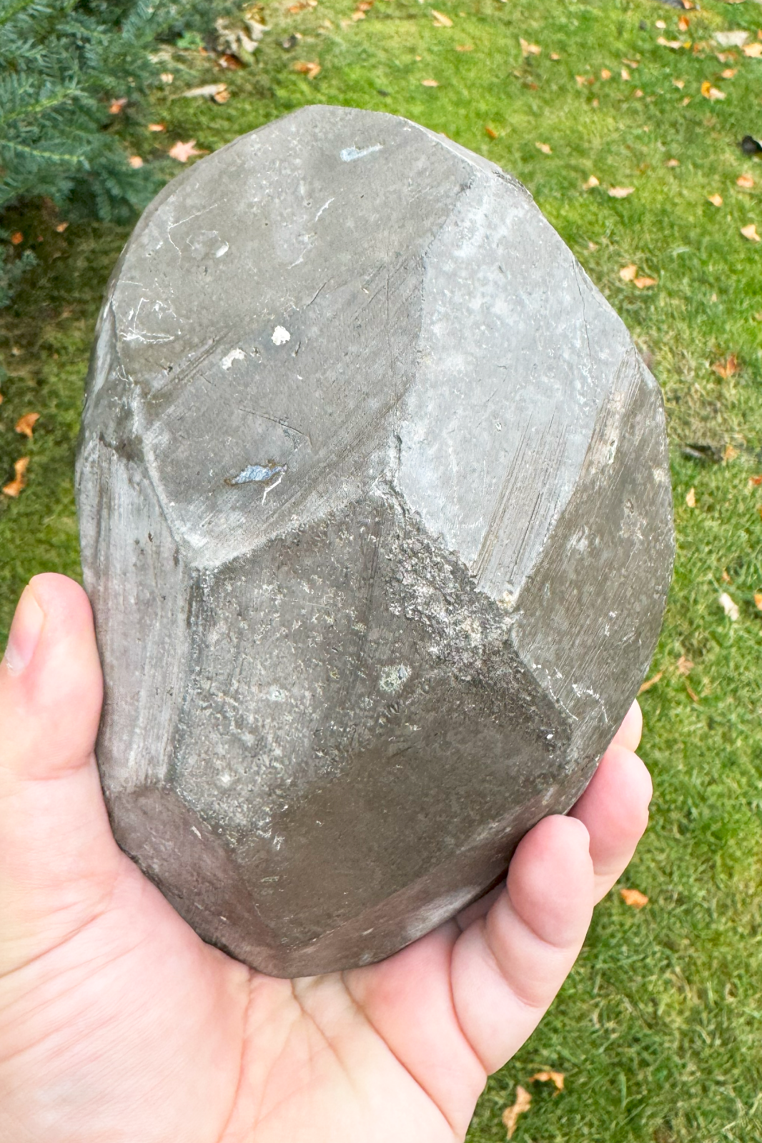 Picture 5 of 9