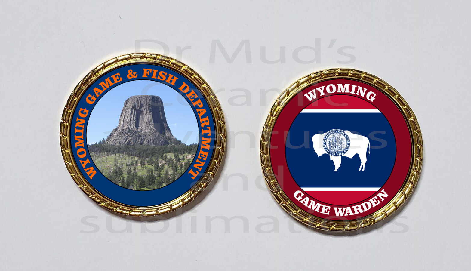 The Great State of WYOMING Game Warden Novelty Collector Coin | eBay