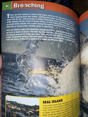 Discovery Ultimate Book Of SHARKS Magazine 2024 ~ SHARK WEEK ~ 250+ Photos - Picture 11 of 12