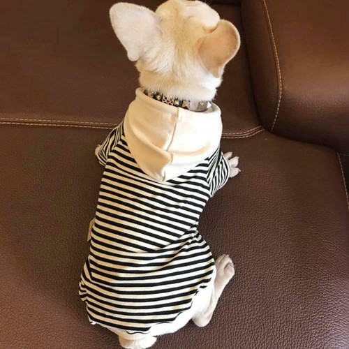 Pet Dog sweater tide brand clothes family Adult pet casual parent-child clothing - Picture 5 of 12