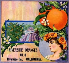 Riverside Oranges California Poppies Orange Citrus Fruit Crate Label Art Print