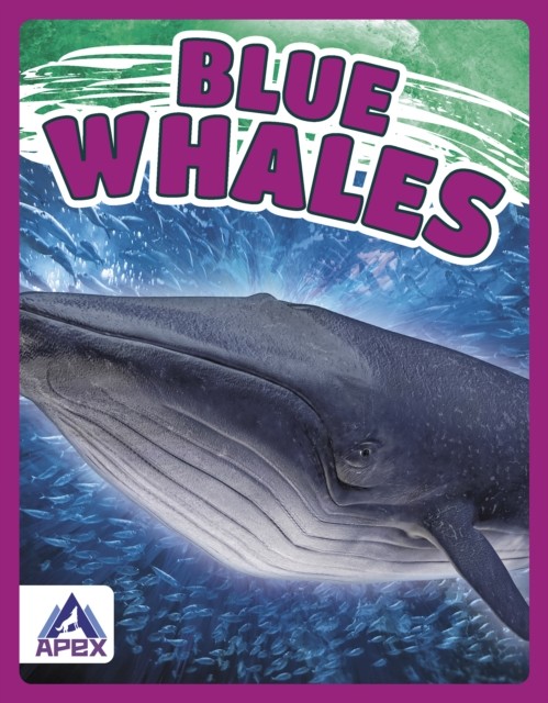 Giants of the Sea: Blue Whales by Katie Chanez PAPERBACK 9781637380383