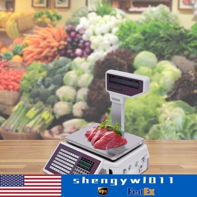 Digital Deli Meat Food Computing Retail Price Scale 66LBs Retail with TD printer