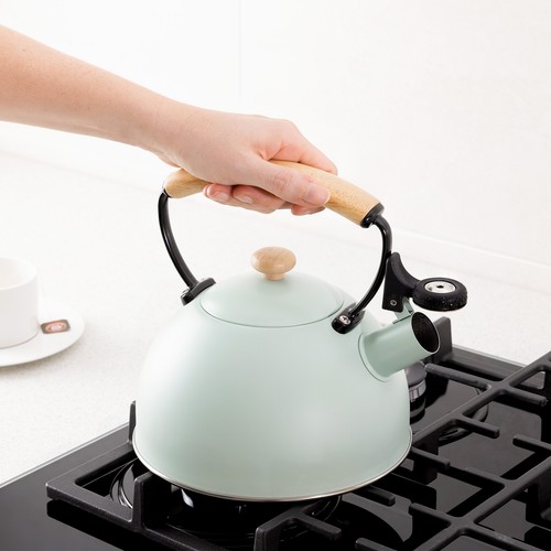 Teiera a Pressione 2,3 l - Bollitore Acqua Piano Cottura Induzione Elettrico Gas - Foto 2 di 8