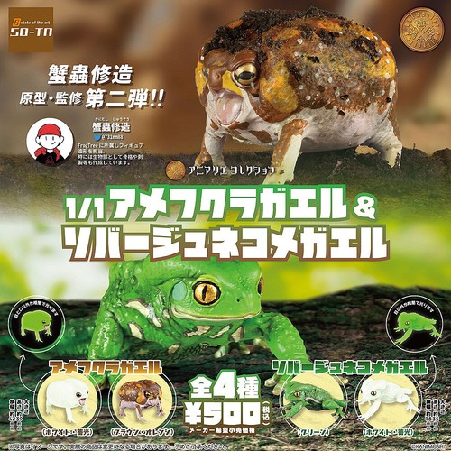 1/1 Scale Common Rain Frog & Waxy Monkey Tree Frog Figure