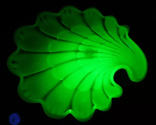 Vtg Duncan & Miller Vaseline Yellow Opalescent Uranium Glass Sanibel Shell Tray