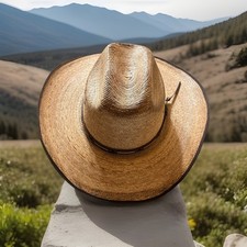 Jason Aldean Collection by Resistol Straw Cowboy Hat Western Brown OSFM
