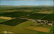 Aerial Hop Ranch Yakima River Valley Washington vintage postcard s313