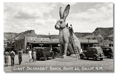 Vintage STYLE NEW REPRO 1930's RPPC-GIANT JACKRABBIT-ROUTE 66-GALLUP NEW MEXICO