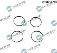 1X Dr.Motor Automotive DRM01676S Dichtungssatz AnsaugkrüMmer FüR BMW