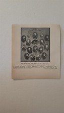 The Parker-Blake Co's New Orleans Louisiana 1908 Baseball Team Picture