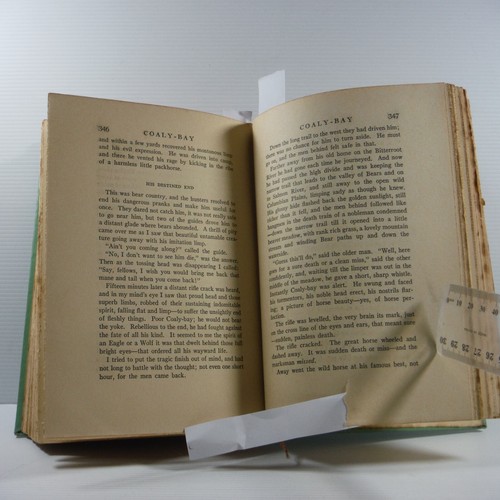 Hosses Anthology Of Short Stories by Charles Wright Gray 1927 Antique horse book - Picture 12 of 22
