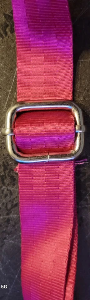 Bolso Bandolera Universidad Estatal de Florida FSU Seminoles Tallahassee Canc de Pecho Foto 4 de 4