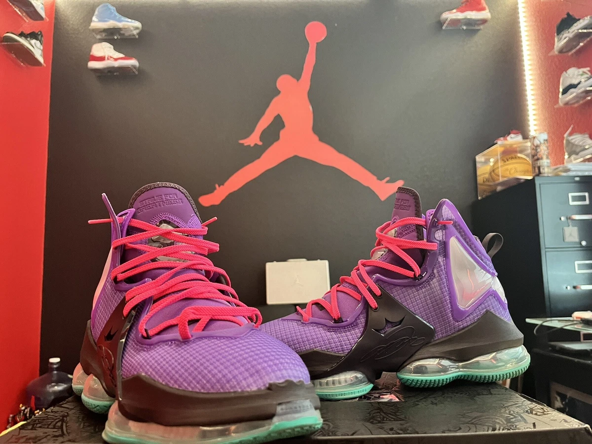 Nike LEBRON 19 XIX PURPLE GRAPE SIZE 10 RARE eBay