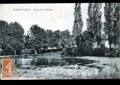 SAINT-BRIS-le-VINEUX (89) Belebte Villa am TEICH von MALADIERE