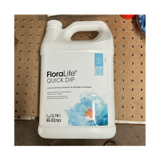 FloraLife Quick Dip Instant Hydrating Treatment for Flowers 1 gal 3.78L