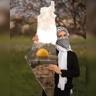 Palestine Map Mirror Acrylic Unbreakable Long Wall Mirror - Unique Design 39" X 