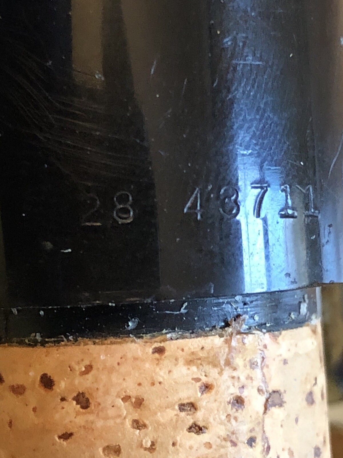 Picture 5 of 12