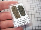 Bild 3 von 3