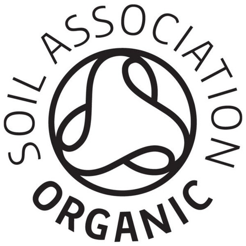 Organic Lemon Green Tea Pyramid Tea Bags (Plastic Free) - True Tea Co. - Picture 2 of 2